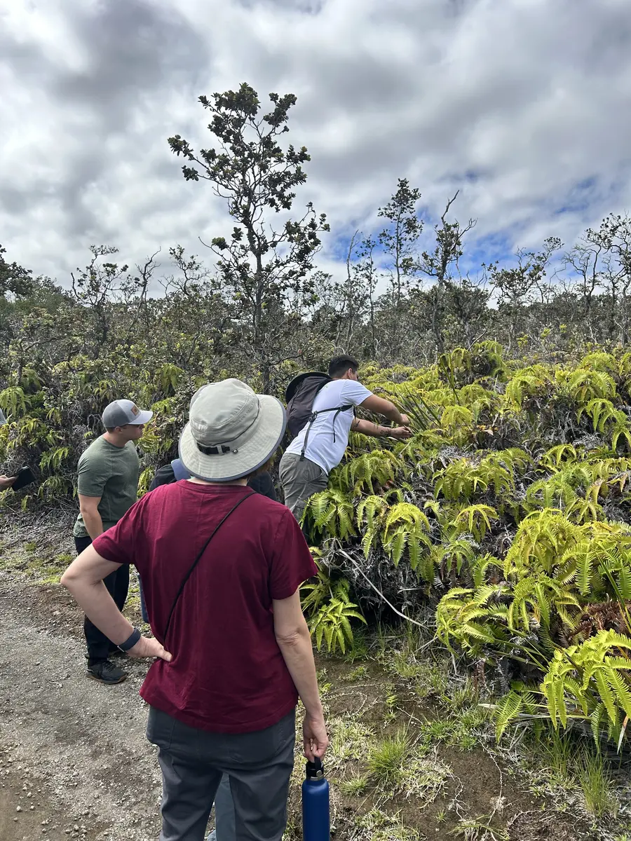 Members of the group observing plants together along a trail
